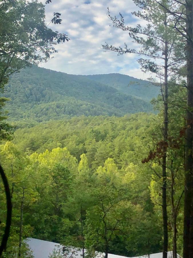Mountain-Top Cabin Get-Away With Hot Tub And A View Sautee Nacoochee エクステリア 写真