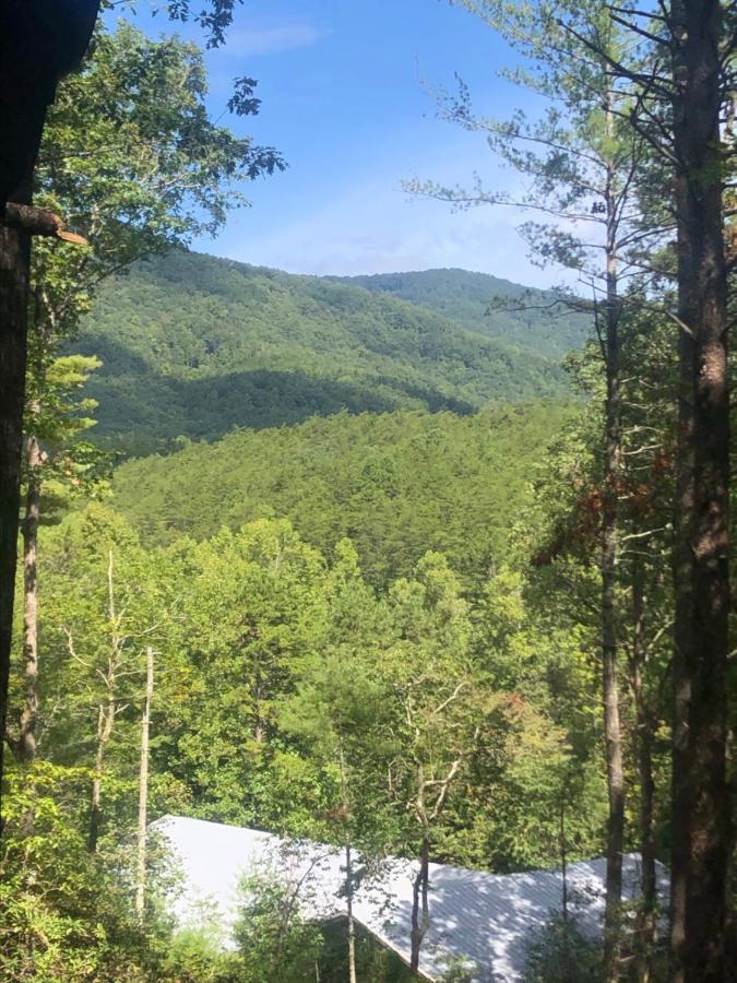 Mountain-Top Cabin Get-Away With Hot Tub And A View Sautee Nacoochee エクステリア 写真